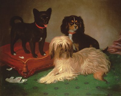 Drei Hunde von William Elsob Marshall